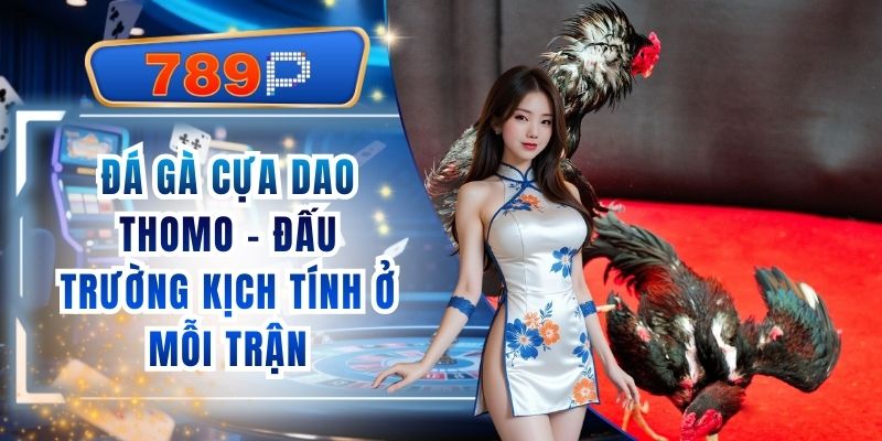 Đá Gà Cựa Dao Thomo 789P - Đấu Trường Kịch Tính Ở Mỗi Trận