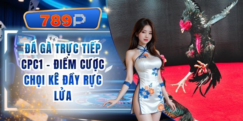 Đá Gà Trực Tiếp CPC1 789P - Điểm Cược Chọi Kê Đầy Rực Lửa
