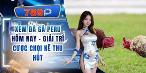 Xem Đá Gà Peru Hôm Nay - Giải Trí Cược Chọi Kê Từ 789P